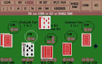 Blackjack Academy screen shot game playing